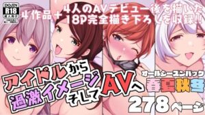 アイドルから過激イメージそしてAVへ・春夏秋冬パック(とこわん) [d_261714]