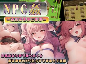 NPC姦〜未完成世界に転移〜(ワンランク上の男) [d_265724]