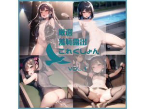 厳選羞恥露出これくしょん vol.1(奴●絵師) [d_260839]