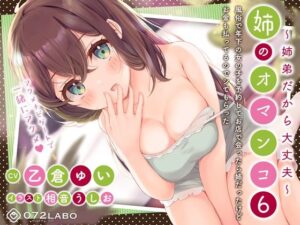 「風俗で年下の女の子を予約してお店で会ったら姉だったけどお金も払ってるのでシてもらった」姉のオマンコ6〜姉弟だから大丈夫〜【アクメナビゲート搭載】(072LABO) [d_268317]