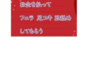 お金を払ってお姉さんにフェラと足コキしてもらう(むぎまるーむ) [d_269598]