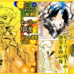 「セーラー 月天使」 ベスト選集Vol.1(DCプロジェクト) [d_270613]