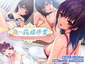 夜の花嫁修業〜幼馴染とイチャラブ秘密えっち〜(どろっぷす！) [d_270670]