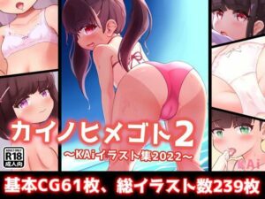 カイノヒメゴト2〜KAiイラスト集2022〜(KAi) [d_271123]