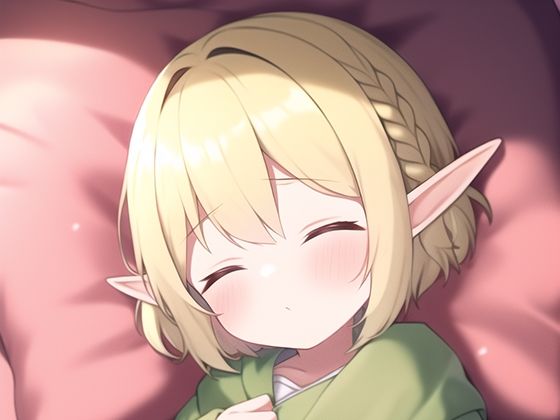 記憶喪失の俺がエロフを手籠にしたと思ったら娘と近●相姦でアレレだったんだが（セリフ付CG60枚＋おまけ11枚）(旅猫。) [d_260797]