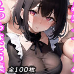 黒髪メイドさん えっちなCG集(ひびね屋) [d_268228]