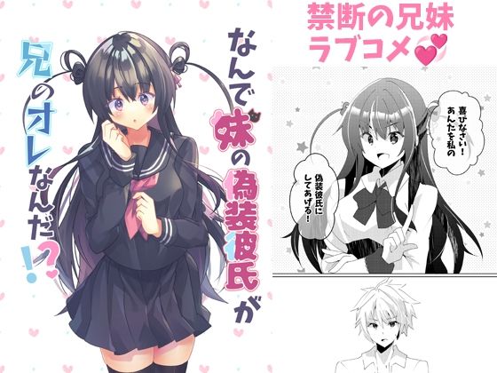 なんで妹の偽装彼氏が兄のオレなんだ！？(ヒイロイズム) [d_269617]