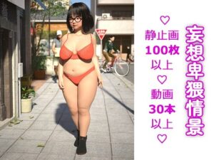 妄想直送vol.14 妄想卑猥情景(妄想具現化機関) [d_271319]