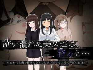 酔い潰れた美女達は、昏々と… 〜哀れにも夜の獲物になってしまい知らない男に弄ばれる夜〜(ほわいとすのー) [d_272359]