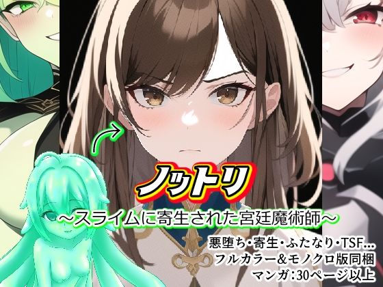 ノットリ〜スライムに寄生された宮廷魔術師〜(AfterImage) [d_269140]