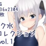 スク水コレクション vol.1(ふにふにいめーじ) [d_273182]
