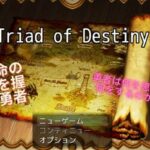 Triad of Destiny 運命の行方(Triad of Destiny) [d_276695]