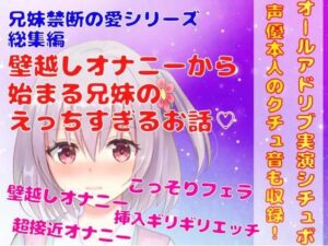 【オールアドリブ実演シチュボ】兄妹禁断の愛シリーズ総集編★壁越しオナニーからはじまる兄妹のこっそり過ぎるえっちなお話(どきどきぼいす) [d_277137]