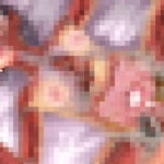 先輩と内臓丸見ええっち【絶望的に透明な少女 巫 架澄】マニアックバージョン(あじふらいこんでんさ) [d_277896]