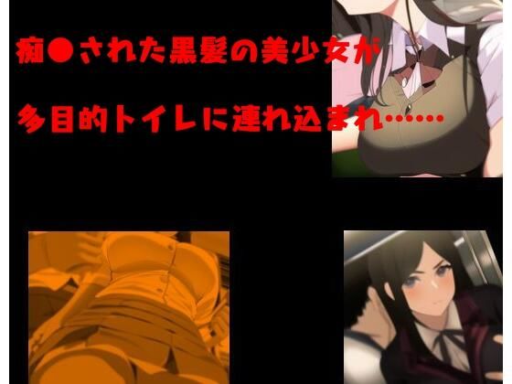 痴●された黒髪の美少女が多目的トイレに連れ込まれ……(Inazuma) [d_278089]