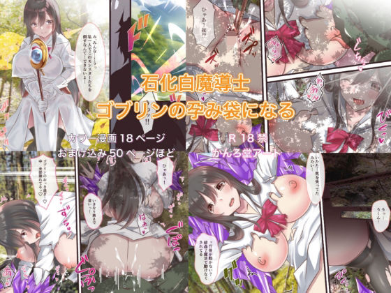 石化白魔導士ゴブリンの孕み袋になる(かんろ堂アート) [d_281924]