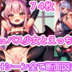 【Hシーン全て断面図あり！】いろんなサキュバスちゃんとえっち【合計74枚】(夢魔ソーサレス) [d_285009]