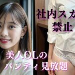 パンティ丸出し会社〜社内スカート禁止で男性社員がトイレに押し寄せ倒産の危機〜(すぐイキます) [d_285378]