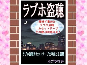 ラブホ盗聴(そくろげ古書店) [d_286226]
