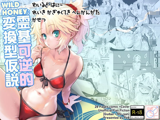 WILD HONEY:霊基可逆的変換型仮説(Peθ) [d_286720]