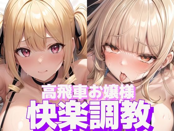 高飛車お嬢様快楽調教(エル) [d_287958]