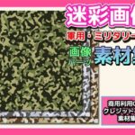 画像素材「迷彩」〜商用成人利用OKの著作権フリー素材(RELEASE SOFT) [d_289823]