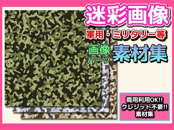 画像素材「迷彩」〜商用成人利用OKの著作権フリー素材(RELEASE SOFT) [d_289823]