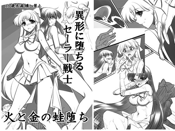 火と金の蛙堕ち(堕落事故調査委員会) [d_290812]