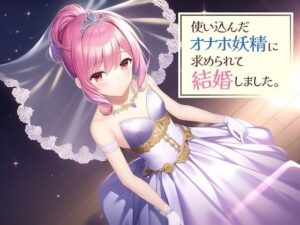 使い込んだオナホ妖精に求められて結婚しました。(常識改変お助けサービス) [d_291153]