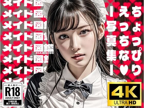 メイド図鑑(AI堕ちランド) [d_292043]