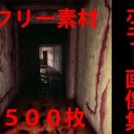 ホラー画像集(ハーゼの記録) [d_290435]