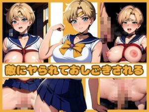 美少女洗体 セーラー戦士vol.2(AIアニメクラブ) [d_294595]