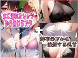 透けブラ＆ポッチ乳首 セット(エロ天使商会) [d_294938]