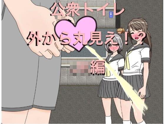 公衆トイレ 外から丸見え！？ JK編(もっちもちのとりもち) [d_295734]