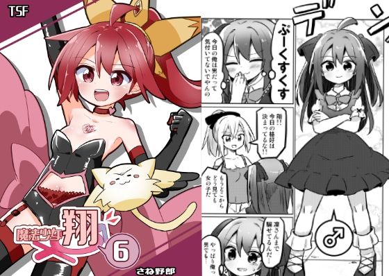 魔法少女翔6(さね野郎) [d_296356]