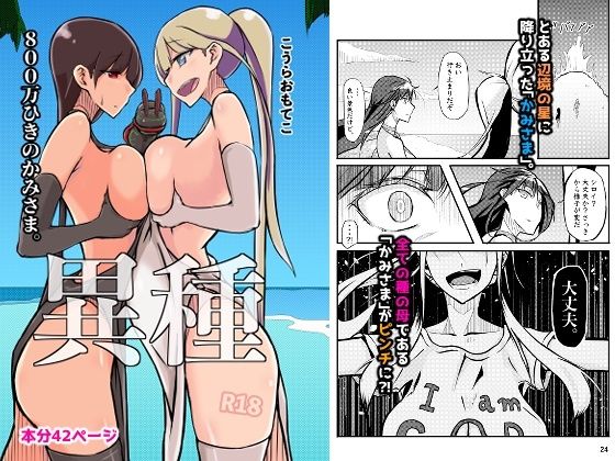 800万ひきのかみさま。(こうらおもてこ) [d_296601]