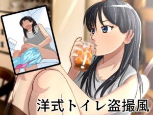 洋式トイレ盗撮 一ノ宮明日美(AOI) [d_296739]