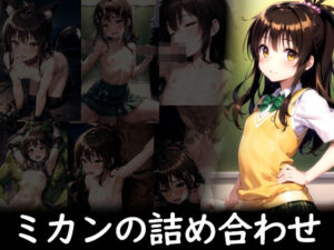 ミカンの詰め合わせ(AI画商) [d_303107]