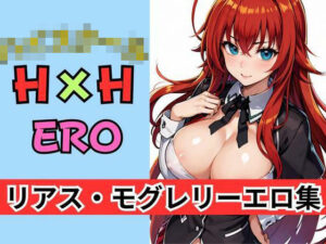 ハイ〇クール H×H リ〇ス・モグレリーエロ集(AI破壊神) [d_304575]