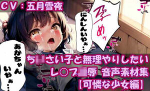 ち〇さい子と無理やりしたい レ●プ凌● 音声素材集【可憐な少女編】(無理やりしたい) [d_305628]