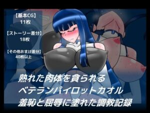 熟れた肉体を貪られるベテランパイロットカオル羞恥と屈辱に塗れた調教記録(dimension empire) [d_309127]