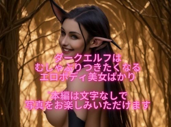 ダークエルフ美女たちはカラダも心もドスケベな性欲モンスターだった(エロフェティッシュ大魔王) [d_306673]