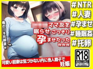 可愛いママ友を眠らせ、こっそり孕ませたったwww(NTR最強會) [d_307093]