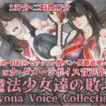 魔法少女達の敗北//リョナボイス・コレクション/首絞め・首絞めセックス・腹パンetc.(岩石堂) [d_308836]