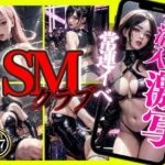 潜入！SMクラブ常連イベ/激写SかMか見分けろ！(matualy books FANTASIA) [d_310411]