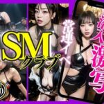 潜入！SMクラブ常連イベ/激写SかMか見分けろ！(maturely books) [d_310814]