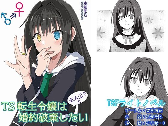 TS転生令嬢は主人公と婚約破棄したい(雪月楓花) [d_314894]