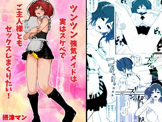 ツンツン強気メイドは実はスケベでご主人様ともセックスしまくりたい(摂津マン) [d_315259]