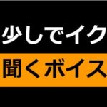 あと少しでイク時に聞くボイス〜仕上げは…お姉さん！？〜(ゆがみや) [d_317132]