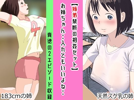 【姉弟禁断の相姦セット】お姉ちゃん・・入れてもいいよね・・(パントマイム) [d_318872]